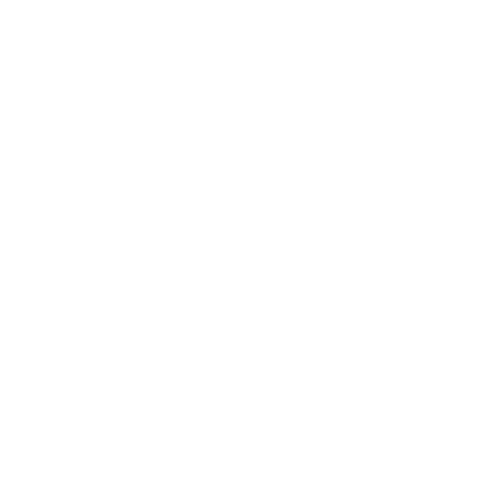 Amsterdam Escort